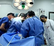 사람 몸에 '돼지 심장' 이식..미국서 첫 이식 수술
