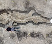 '길이 10m' 영국서 발굴된 1억8000년 전 어룡 화석