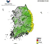 국립산림과학원, 13일까지 경상·강원 해안지역 '대형산불위험예보' 발령