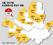 도심복합사업 후보지 선정 재개..'강남1호' 양재동서 나올까