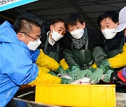 남해군, 대구수정란 방류 사업 실시