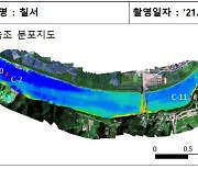 낙동강청 "드론으로 낙동강 녹조 분포 알 수 있다"