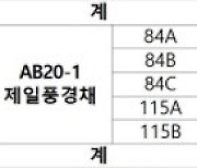 2차 민간 사전청약 일반 경쟁률 56대 1..대형 평형 세 자릿수