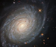 [우주를 보다] 아름다운 나선팔..초신성 품은 은하 NGC 976 포착