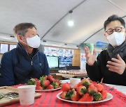 김현수 농식품부 장관 "딸기 가격 이달 중순부터 안정될 것"