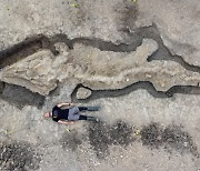 [사진] 1억 8,000만 년 전 살았던 10m 길이 '어룡' 화석