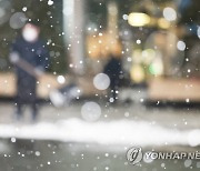 눈 내린 서울