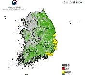 국립산림과학원, 경상·강원 해안지역 '대형산불위험예보' 발령