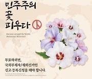 대선 재외선거 유권자 왜 6만명 줄었나.."코로나19로 귀국 늘어"