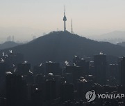 서울 겨울 풍경