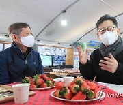 김현수 농식품부 장관, 딸기 작황 및 출하 점검