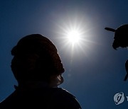 UAE FALCONRY CHAMPIONSHIPS