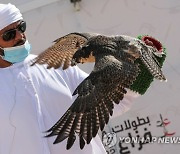 UAE FALCONRY CHAMPIONSHIPS