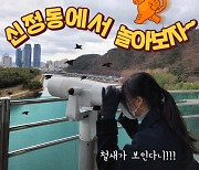 울산 남구, '겨울철 신정동에서 놀아보자' 제작