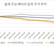 오히려 기회?..LG엔솔 상장 전 베터리株 '줍줍' 기회 오나