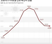 강원 신규 확진 117명..16일만에 '세자릿수'