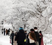 제주, 한라산 탐방권 거래에 칼 빼들었다.."민·형사상 조치 검토"