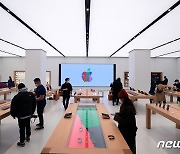 애플, 한국서 12년만의 감사보고서 공시..국내 연매출 7조원