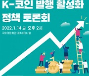 "K-코인 활성화하자"..민주당, 정책토론회 개최