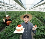 [ESG] SPC, 청년 농부가 키운 비타베리로 딸기 케이크 만든다