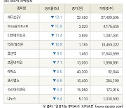 [fnRASSI]장마감, 코스닥 하락 종목(에디슨EV -12.1% ↓)