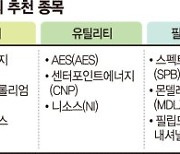 변동장 피난처 '인플레 방어주' 찾아라 [해외주식 인싸이트]