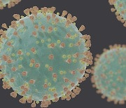 바이러스 전파는 유전자 정보의 복제