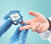 공복 혈당 높은 '당뇨병 전 단계'라도 비만·고혈압 등 대사 질환 위험