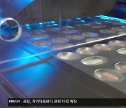 대구·경북 오미크론 확산 대응책 마련..먹는 치료제 이번 주 보급