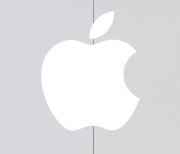 애플, 한국시장에서 7조 원대 연 매출..영업 이익은 줄어