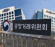 공정위, "현대기아차 설명서 거짓·과장"..경고에 그친 이유는?