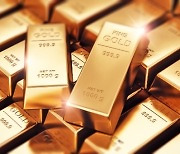 세계최대 금광업체 CEO "금값 올해도 좋을 것..온스당 최대 1800달러"