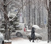 내일 충청·호남에 최대 10cm 눈..서울 낮에도 영하권