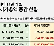 "100대기업 시총 판도 요동쳤다"..20곳 대기업 TOP100 탈락