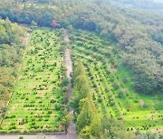 안산시, 설연휴 공설공원묘지 운영 중단.. 17일부터 온라인 성묘
