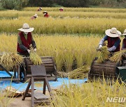 충북 농업인공익수당 내달 1일부터 접수..농가당 연 50만원