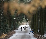 눈내린 제주 사려니숲길 산책