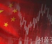 '너무 떨어졌나' 中 증시 반등..상하이지수 0.3%↑ 개장