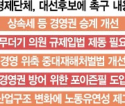 "차기정부 1순위 과제는 상속세·중대재해법 개선"