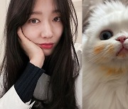 '최태준♥' 박신혜, 출산 앞두고 '냥자식' 때문에 속썩는 엄마.."참치도둑아"