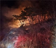 경북 안동 자암산 산불 발생