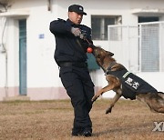 CHINA-HUBEI-WUHAN-POLICE DOG-TRAINING (CN)