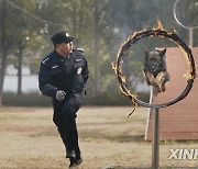 CHINA-HUBEI-WUHAN-POLICE DOG-TRAINING (CN)