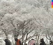 [날씨] 아침 최저기온 영하 18도..제주·호남 눈 소식
