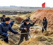 '알곡증산 담보 마련' 올해 농사 준비하는 북한 농장