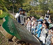 자연환경 훼손지 복원, 3.5배 확대.."녹색복원으로 탄소중립 기여"