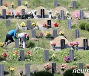 올 설부터 김해지역 공원묘원 '플라스틱 조화 반입 금지'