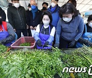 청도 한재미나리 손질하는 김혜경