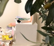 [인스타산책] 갤러리딤 - 식자재 쓰레기 디저트가 되다