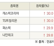 [fnRASSI]오늘의 상한가, 캐스텍코리아 30.0% ↑